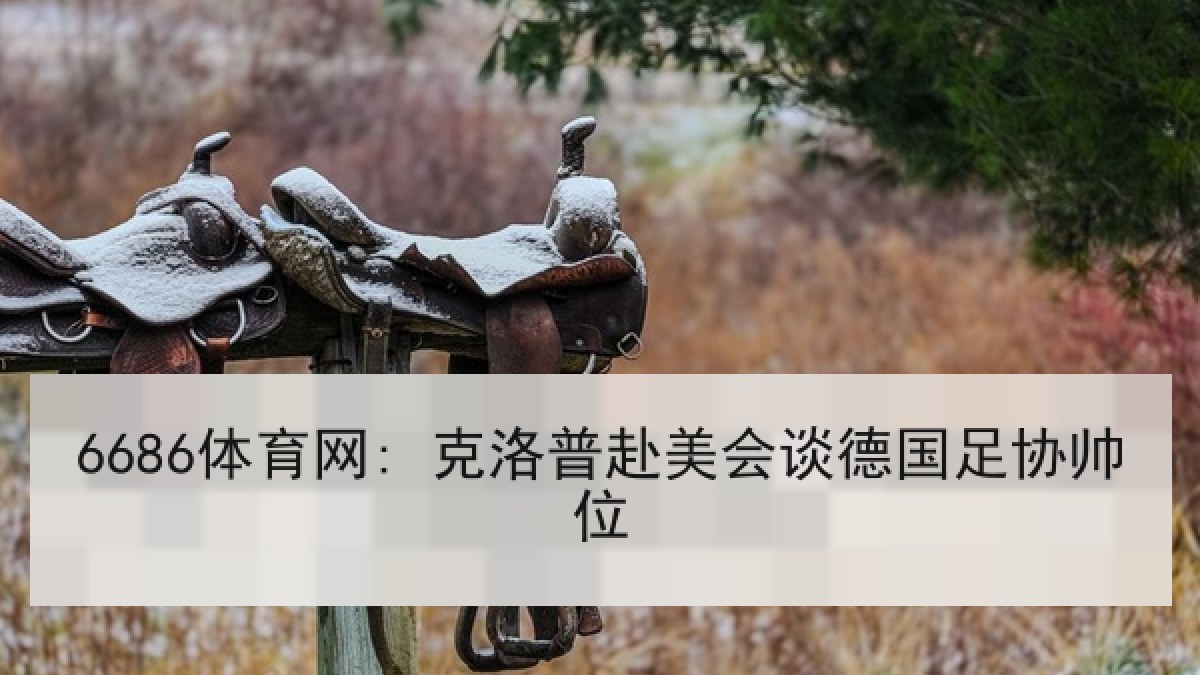6686体育网: 克洛普赴美会谈德国足协帅位 6686体育网: 克洛普赴美会谈德国足协帅位
