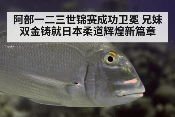 阿部一二三世锦赛成功卫冕 兄妹双金铸就日本柔道辉煌新篇章