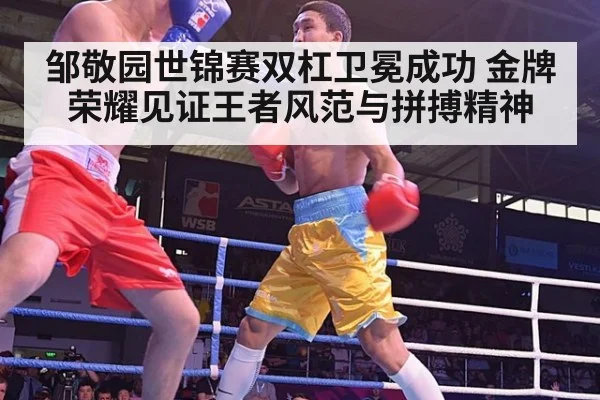 邹敬园世锦赛双杠卫冕成功 金牌荣耀见证王者风范与拼搏精神