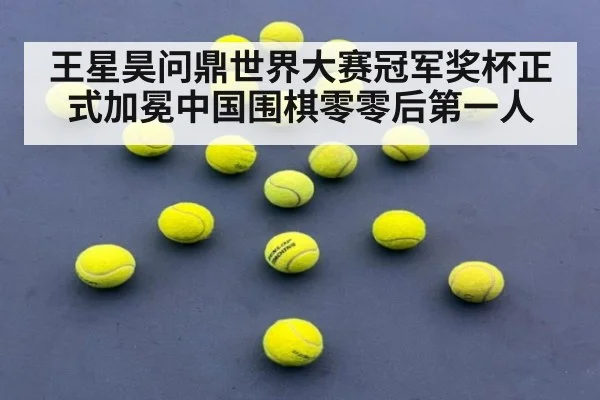 王星昊问鼎世界大赛冠军奖杯正式加冕中国围棋零零后第一人